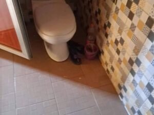 🏠 Mise en 𝐋𝐨𝐜𝐚𝐭𝐢𝐨𝐧 d’un appartement dans