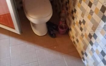 🏠 Mise en 𝐋𝐨𝐜𝐚𝐭𝐢𝐨𝐧 d’un appartement dans