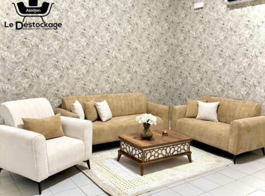 ✨ Pour sublimer vos bureaux et salons, choisissez