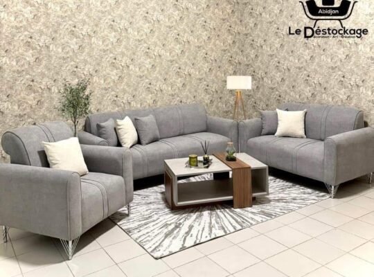 ✨ Pour sublimer vos bureaux et salons, choisissez