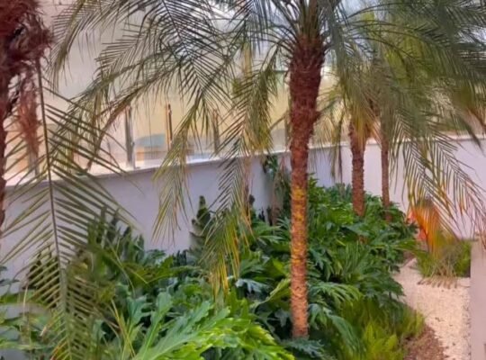 Aménagement, paysager, Décoration jardin