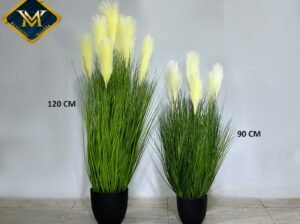 vases