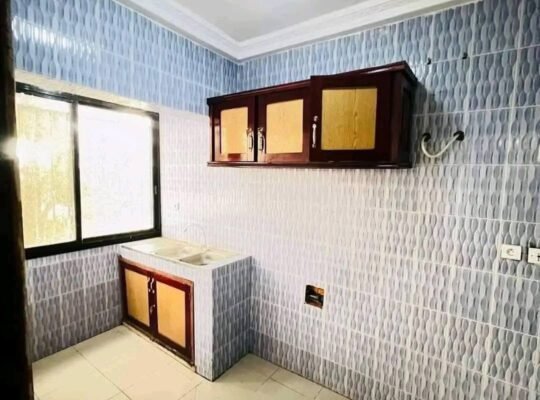 un bel APPARTEMENT a louer