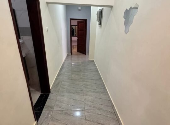 APPARTEMENT PENTHOUSE à LOUE