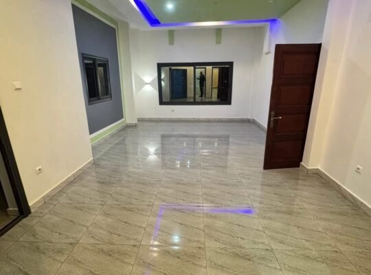APPARTEMENT PENTHOUSE à LOUE