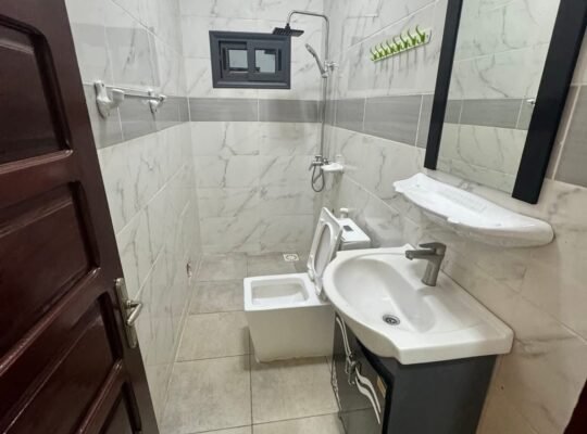 APPARTEMENT PENTHOUSE à LOUE
