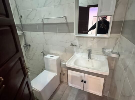 APPARTEMENT PENTHOUSE à LOUE