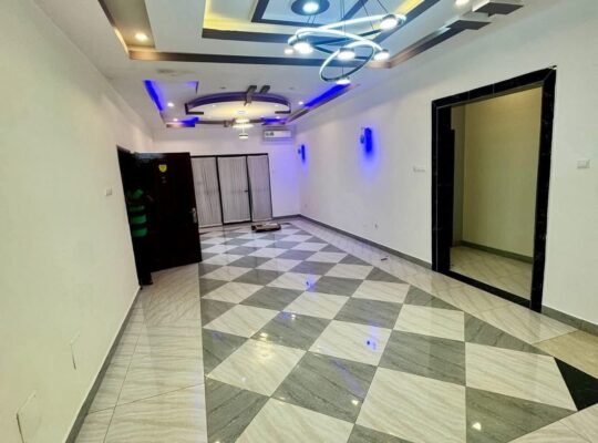 APPARTEMENT PENTHOUSE à LOUE
