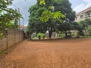 terain a vendre lambanyi