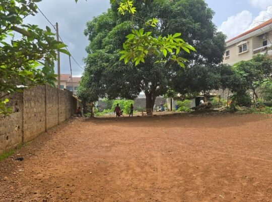 terain a vendre lambanyi