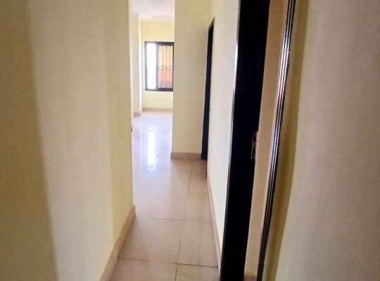 appartement studio climatisé