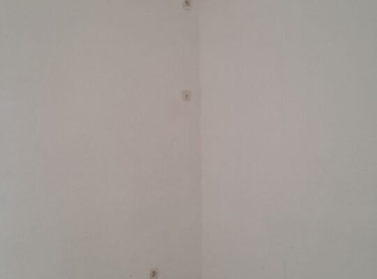 idéal pour toute activité commerciale ou professio