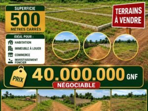 Parcelle à vendre